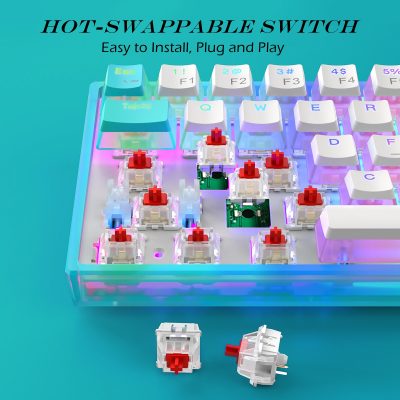 Womier WK61 RGB Backlit Gamer Keyboard Red Switch PBT Pudding Keycap Mechanical Keyboard Swappable Hot 60 2 - Pudding Keycap