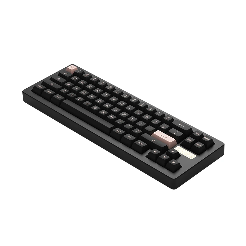 Akko ACR Pro 68 RGB Hot Swap Gaming Mechanical Keyboard ANSI Wired Arrow Keys Gasket mounted 4 - Pudding Keycap